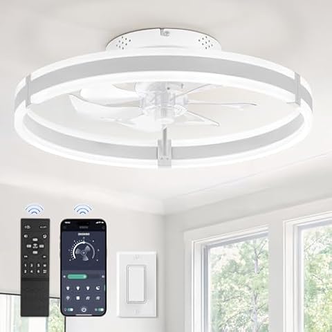 ZMISHIBO 19.7'' Ceiling Fan with Lights Cover