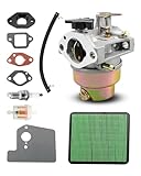 Carburetor Kit Fit for Excell VR2522 Pressure Washer Parts 5.5 Hp 2500 PSI 2.2 GPM with Air Filter Cleaner