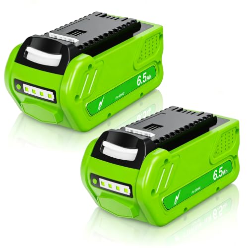 Image of Bonacell 2Pack 6.5Ah Replacement for Greenworks 40V Battery 29462 29252 20202 22262 25312 25322 20642 22272 Compatible with Greenworks 40V Cordless Power Tools