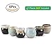 T4U Mini Ceramic Succulent Pots with Drainage - Set of 6, Tiny Pots for Plants, Home and Office Decor, Plant Lover Gifts for Women