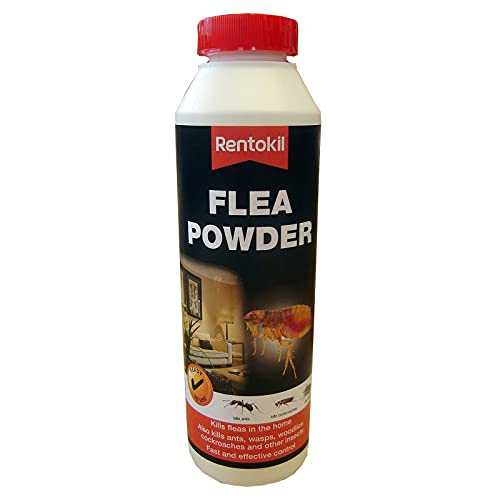 Rentokil Flea Powder 300G