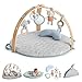 Ingenuity, Tapis d'Eveil et d'Activités Cozy Spot Loamy, Couette Réversible et Lavable en Machine, Arche de Jeu en Bois, 5 Jouets D’activités Amovibles, Ultra-Doux, Dès la Naissance