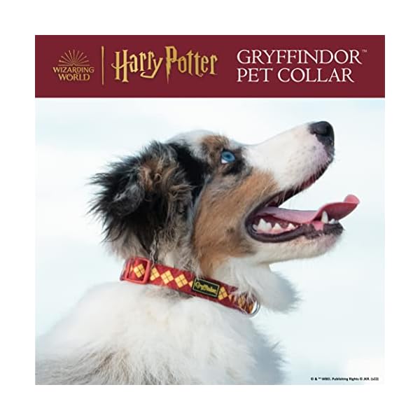 Harry Potter Gryffindor Dog Collar in Size Medium| Medium Dog Collar, Harry Potter Dog Collar | Harry Potter Dog Apparel & Accessories for Hogwarts Houses, Gryffindor Harry Potter Gryffindor Dog Collar in Size Medium| Medium Dog Collar, Harry Potter Dog Collar | Harry Potter Dog Apparel & Accessories for Hogwarts Houses, Gryffindor