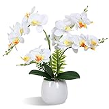 【Material】 La orquídea artificial está hecha de poliéster y material de látex suave, relajado y duradero, la fidelidad es tan alta como 96%. El tallo está hecho de material plástico verde, con vasija de cerámica blanca.