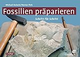  Fossilien präparieren: Schritt für Schritt