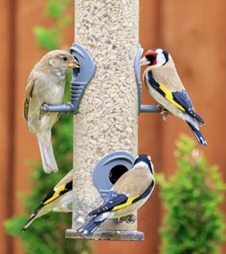 Maltbys-Stores-1904-Limited-Sunflower-Hearts-15kg-Premium-Wild-Bird-Food-Seed