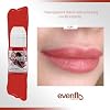 Evenflo Colours Permanent Makeup for Lips, Used for All Permanent Makeup Procedures, Professional Cosmetic Pigment - Clay, 0.5 oz
