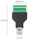PENGLIN Adapter RJ12 Stecker auf 6-polige Schraubklemme, für Telefonverlängerung Cat3, RJ12 6P6C, 2 Stück
