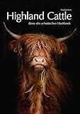  Highland Cattle: Ikone des schottischen Hochlands