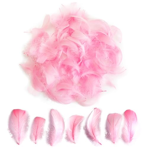 300pcs Pink Feathers 2-3 Inches Bulk Feathers for Crafting Dream Catcher Accessories Art Projects DIY Crafting Handi Crafts Party Decoration (Light Pink)