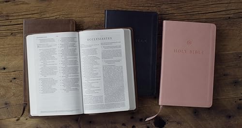 ESV Premium Church Bible (TruTone, Pink): Holy Bible, English Standard Version - image 3