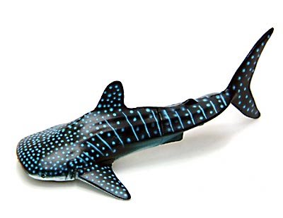 まだ息のあるジンベイザメを輪切りにしてみた ニコニコ動画