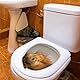 3D Eichhörnchen Toilettensitz-Aufkleber – Lustiger Tierdesign-WC-Sticker aus hautfreundlichem Vinyl