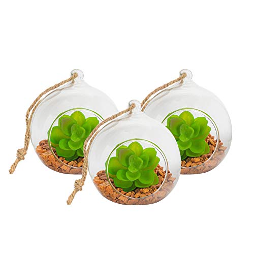 Nicola Spring Hanging Glass Terrariums - 10cm - Pack of 3 Open Terrarium Pot Planter for Indoor Outdoor Home Garden Succulent, Cacti, Ferns, Plants Hanging Tabletop Display
