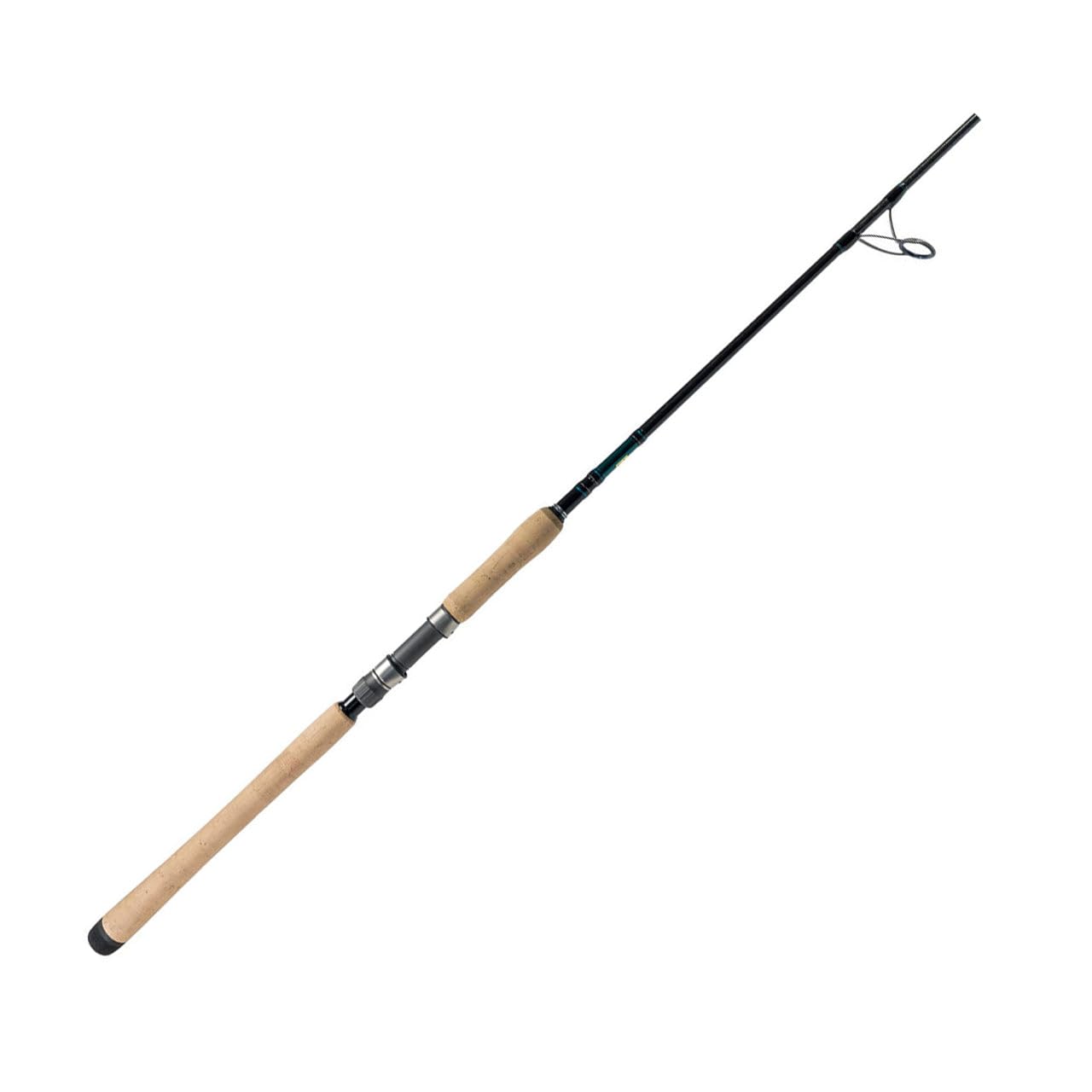 Amazon.com : TERAMAR XX NE Spinning : Sports & Outdoors