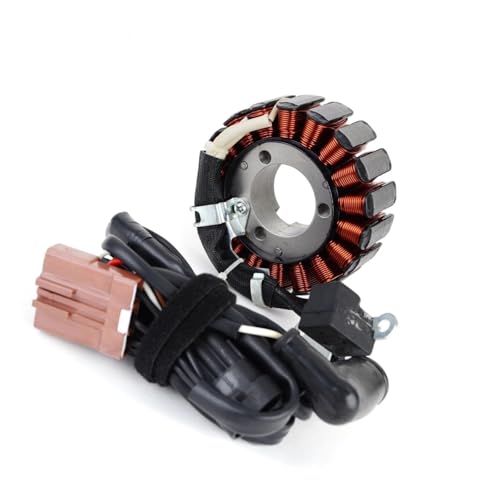 Bobine de stator de magnéto moto pour rouler en Carnaby 300