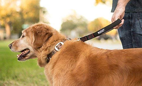 Leashboss Short Dog Leash for Dog Training | Padded Traffic Handle Short Leash for Dog Training, Total Comfort When Dog… - Image 3