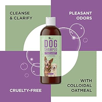 colloidal oatmeal dog shampoo