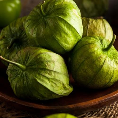 『Growing Tomatillo Plants: Complete Guide on How to Plant and Grow Tomatillo from Seed from Bloom Ranch of Acton』のカバーアート
