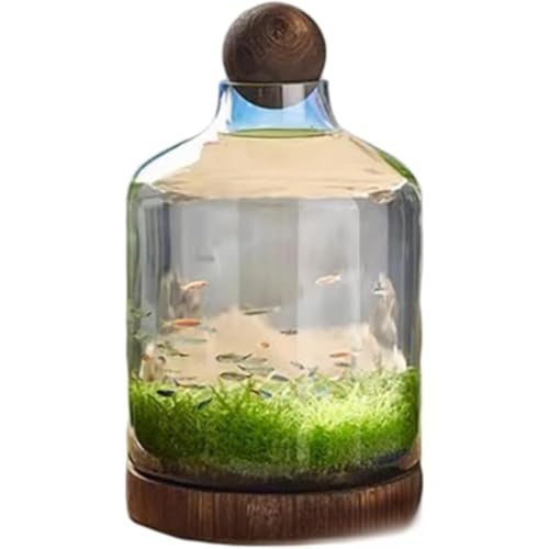 TAYOAKX l NGCeBu ؐT|[g Rei ȉ~` k͔|Rei (D)