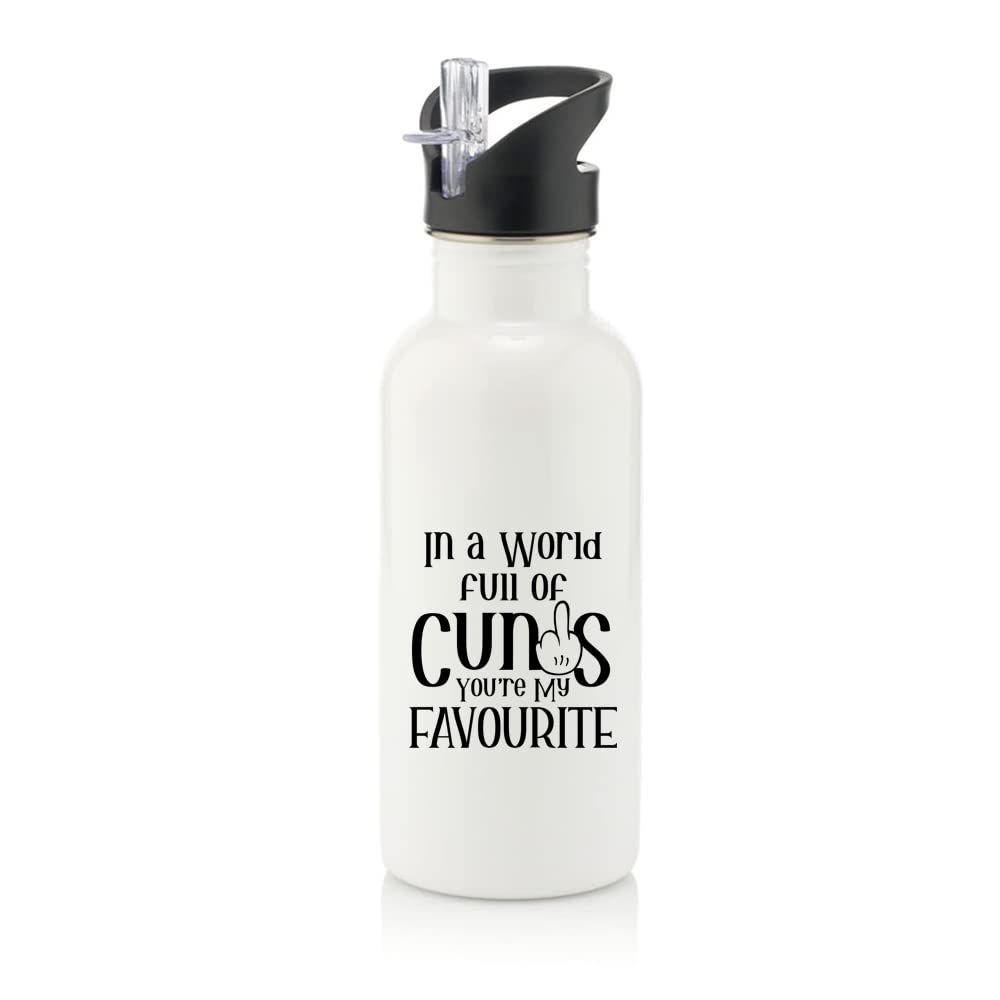 Getagift In a World Full Of Cunts You Are My Favourite Birthday, Christmas, Secret Santa Stainless Steel 600ml Water Bottle with Straw. (White)