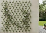 BIANCHERIAWEB Treillis extensible en bois pour plantes grimpantes - Clôture de jardin et b...