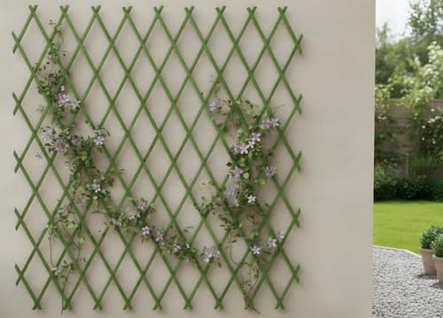 BIANCHERIAWEB Treillis extensible en bois pour plantes grimpantes - Clôture de jardin et balcon - 150 x 200 cm - Vert