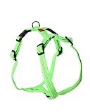 feltmann hundegeschirr erfahrung Bei dem Hundegeschirr Super Soft ist es uns gelungen ein weich gepolstertes Band zu verwenden und die volle Verstellbarkeit eines ungepolsterten Geschirrs zu erhalten.