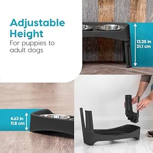 Iris Usa Elevated Dog Bowls Adjustable Height 2 Thick 64 Oz Stainless Steel Bowls Spillproof with Raised Outer Rim Durable Made in Usa Plastic Easy Assemble 2 Heights 463 or 1225 Black  Cucciolini Doodles Iris usa elevated dog bowls adjustable height 2 thick 64 oz stainless steel bowls spill proof with raised outer rim durable made in usa plastic easy assemble 2 heights 4 63 or 12 25 black   cucciolini doodles