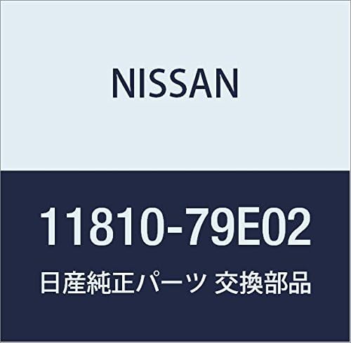Nissan 11810-79E02, PCV Valve