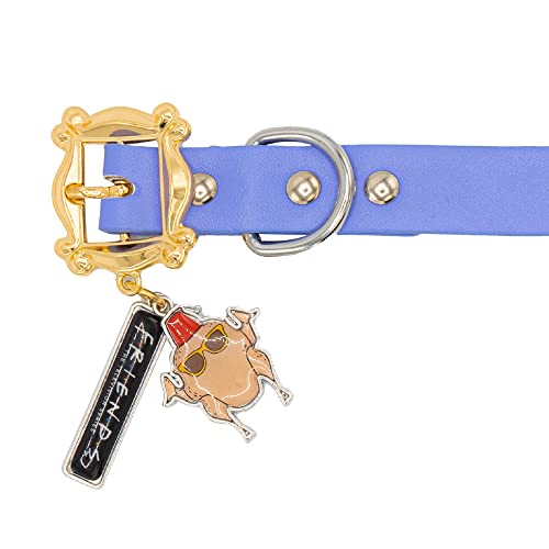 Buckle-Down Dog Collar, Friends, Monicas Peephole Frame Cast Buckle With Turkey And Friends Charms, Extra Small 6 To 9 Inch Length 0.38 Inches Wide #TOP2
