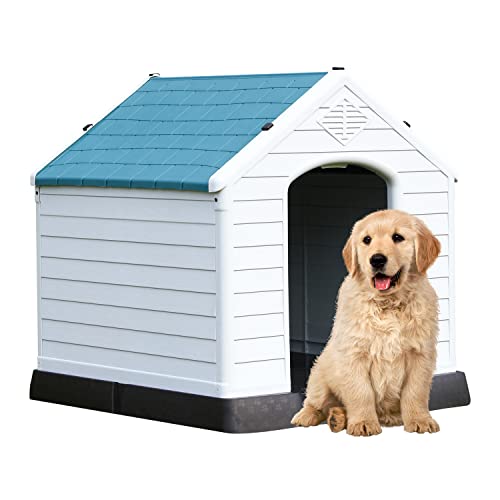 Find The Best Extra Large Dog House Reviews & Comparison Katynel