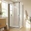 Matte Black Pivot Door