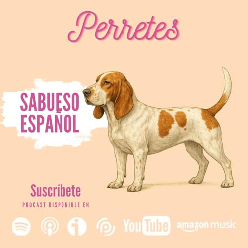 Ep92: Sabueso Espa&ntilde;ol.