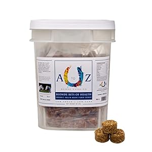 Horse Treats Blonde Bits of Health, Low Carb, Low Sugar, A Softer Cookie, Wheat, Corn, Soy & Alfalfa Free, Made with Cinnamon & Agave, Natural Human Grade Ingredients, 20 lb Pail