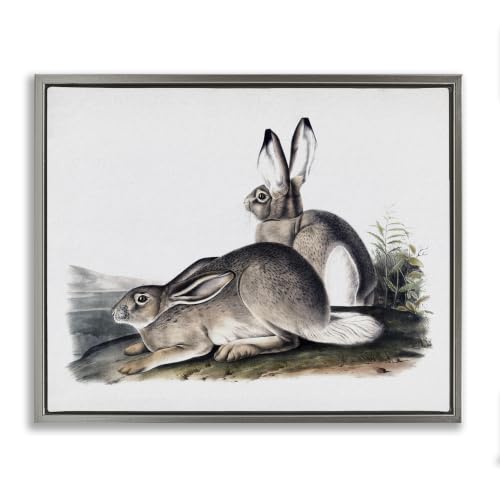 Rabbit Duo Gazing Woodland, 24 x 30 Inch Canvas in Floater Frame