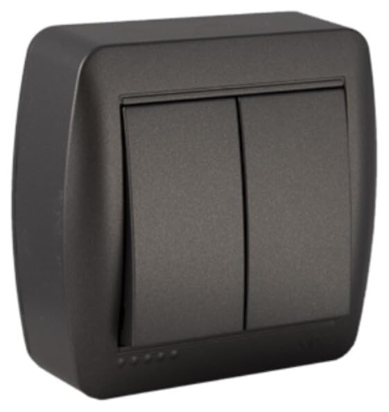 Doble Conmutador de Superficie Grafito, Serie Mural, 12A, 250V - Ideal para controlar luces en diferentes ambientes.