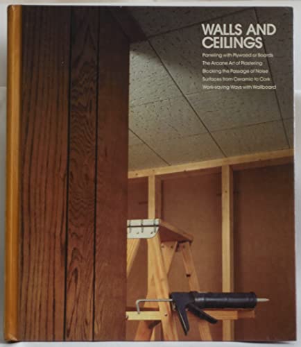 Walls and Ceilings (Home Repair and Improvement) image 2