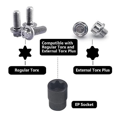 19pc External Torx Plus Socket Set 6 Point EP Socket EP4, EP5, EP6, EP7, EP8, EP10, EP11, EP12, EP14, EP16, EP18, EP20, EP22, EP24, EP26, EP28, EP30, EP32 with 1/2\'\' 3/8\'\' 1/4\'\' Dr E-Torx Plus Socket