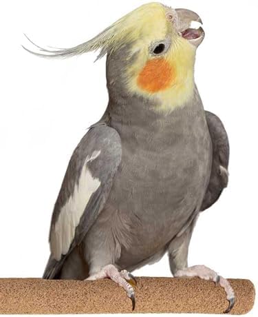 Super Bird Creations SB1152 Sure-Grip Grooming Perch for Small/Medium Birds – Enriches Beak and Foot Health – Ideal for Cockatiels, Parrots, Parakeets, Conures, Quakers – 3/4″ Diam x 8″ (Medium)