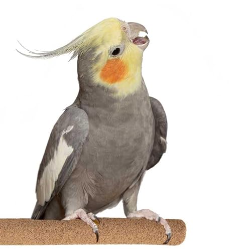 Sure-Grip Grooming Perch by Super Bird Creations