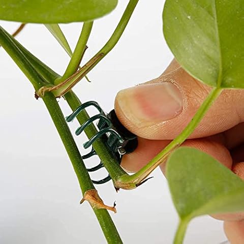 Wifehelper 100Pcs Plant Support Clips Garden Plastic Mini Stalks Flower Garden Tools Stem Clips Grow Upright Orchid Cover