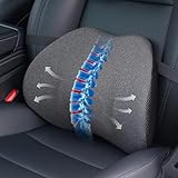 Lumbar Support Pillow...image
