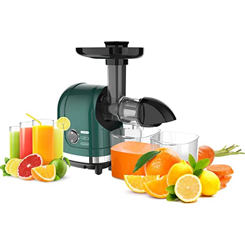 Masticating Juicer Machines, Cold Press Slow...