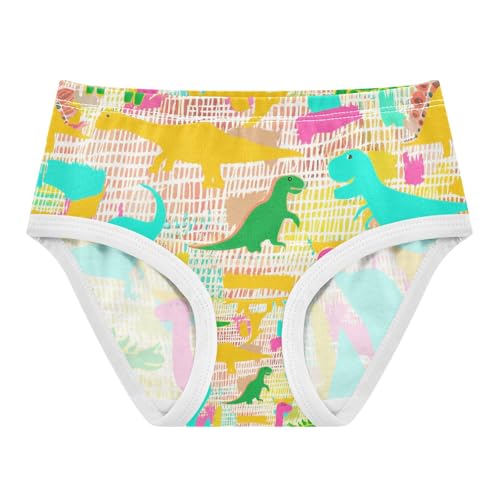 Colorful Cute Dinosaur Toddler Girls's Underwear 2T 202c1202