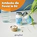 Magnesium - Hoch bioverfügbar aus Magnesiumoxid - 90 Kapseln - Praktisch für Unterwegs (3 Monate Vorrat) - Für Muskeln, Knochen & Zähne* - Reines Magnesiumoxid aus dem toten Meer - Vegan, laborgeprüft