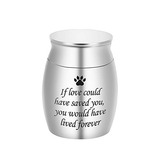 Best Urns For Pets