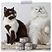 MjAMjAM - Premium Nassfutter für Katzen - DUO von saftigem Hühnchen & Kaninchen an gedämpftem Kürbis, 6er Pack (6 x 200 g), getreidefrei mit extra viel Fleisch
