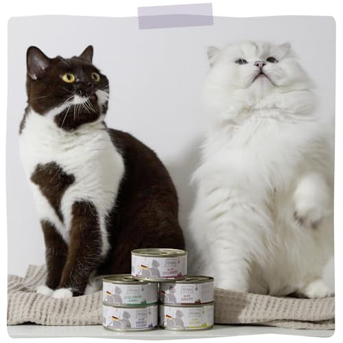 MjAMjAM - Premium Nassfutter für Katzen - DUO von saftigem Hühnchen & Kaninchen an gedämpftem Kürbis, 6er Pack (6 x 200 g), getreidefrei mit extra viel Fleisch