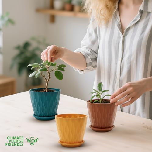 YNNICO 4 inch Plant Pots for Indoor with Drainage Holes and Tray Saucers by YNNICO - Used condition - Image 4